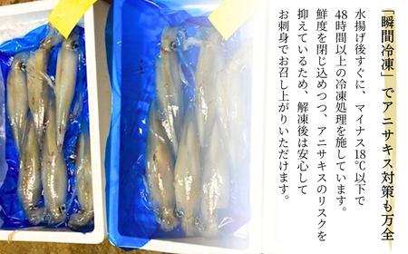 アカイカ 1kg（約2～4杯）イカ いか 海鮮【石川県漁業協同組合小松支所】 bo002n00