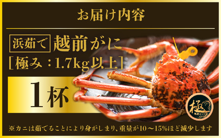 越前がに本場の越前町からお届け！越前がに浜茹で究極の1杯 極み(きわみ)サイズ（生で約1.7kg～）×1杯【12月発送】 [e57-x009_12] 越前町 雄 ズワイガニ ボイル 冷蔵 越前がに 越
