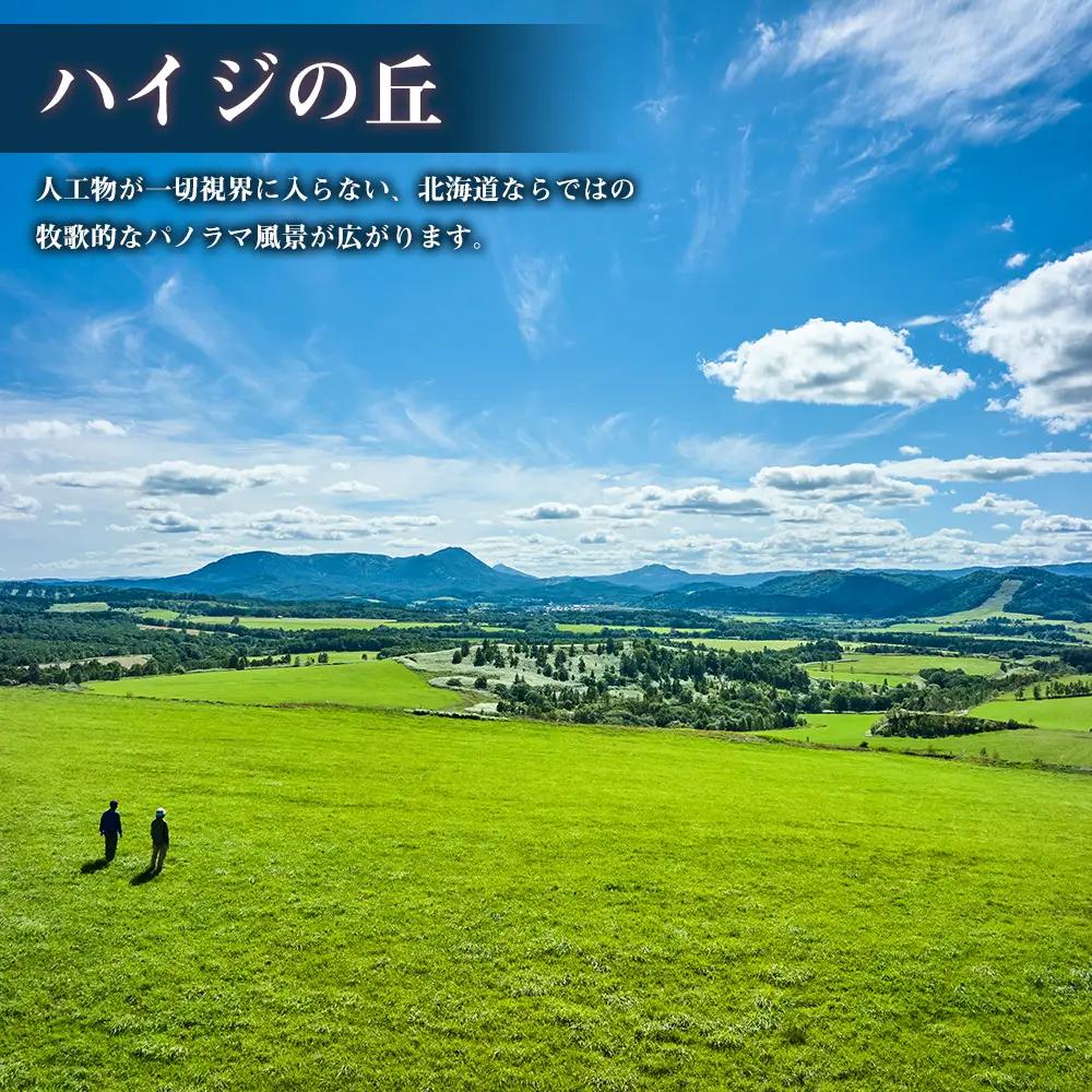 北海道 中頓別町 ☆応援寄附金☆【返礼品なし】100,000円分 ふるさと納税 寄附のみ