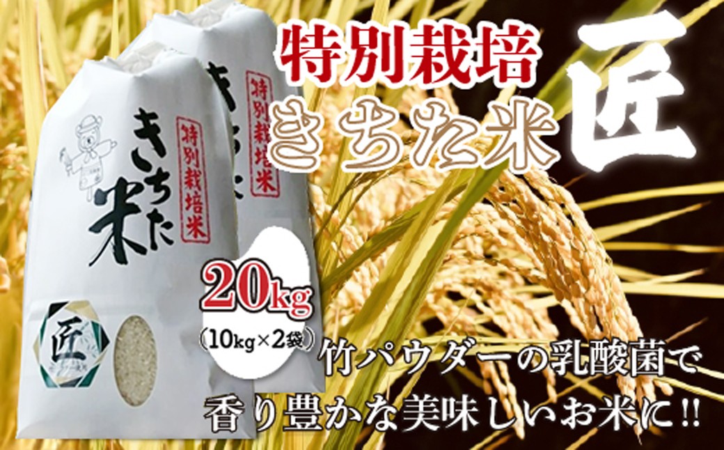 
                  千葉県 大網白里市産 きちた米『匠(たくみ)』 （特別栽培米 コシヒカリ）20kg（10kg×2袋）J009  特別栽培米 お米 20kg 千葉県産 大網白里市 コシヒカリ 米 精米 こめ 送料無料
                