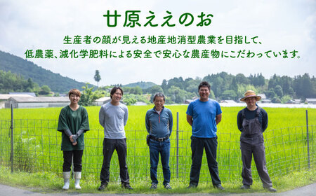 多治見のジャム いちご・ブルーベリー 200g×6個  多治見市/廿原ええのお ジャム パン ヨーグルト いちご 瓶 ビン 苺 ブルーベリー ベリー フルーツ 旬 つづはら プレゼント ギフト 贈答 