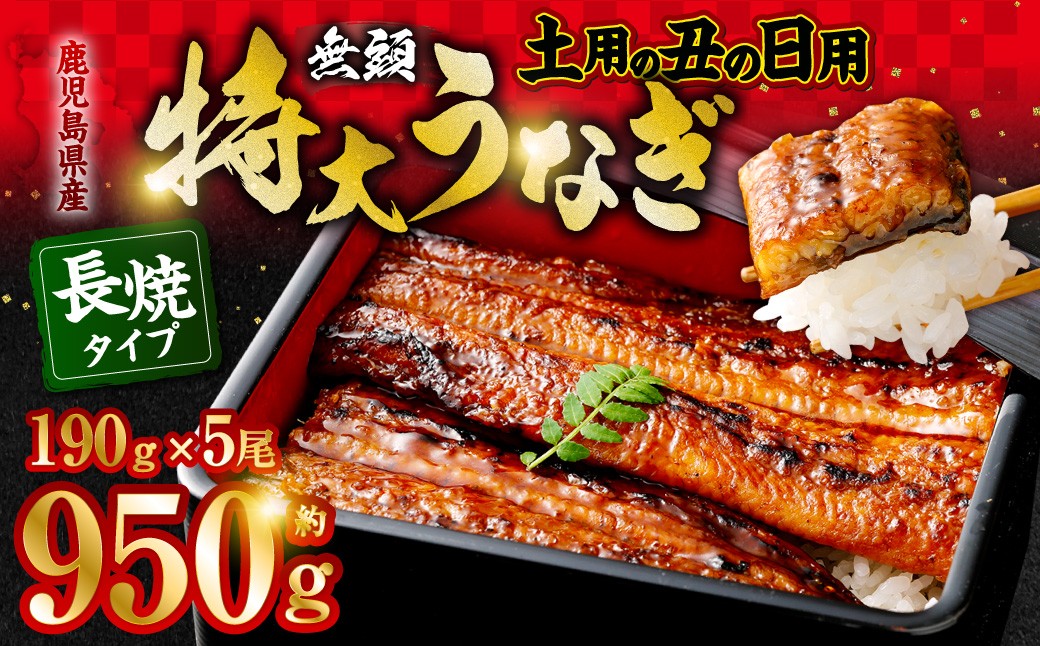 【丑の日用】鹿児島県産無頭特大うなぎ蒲焼約190g×5尾　合計約950g CSR-701