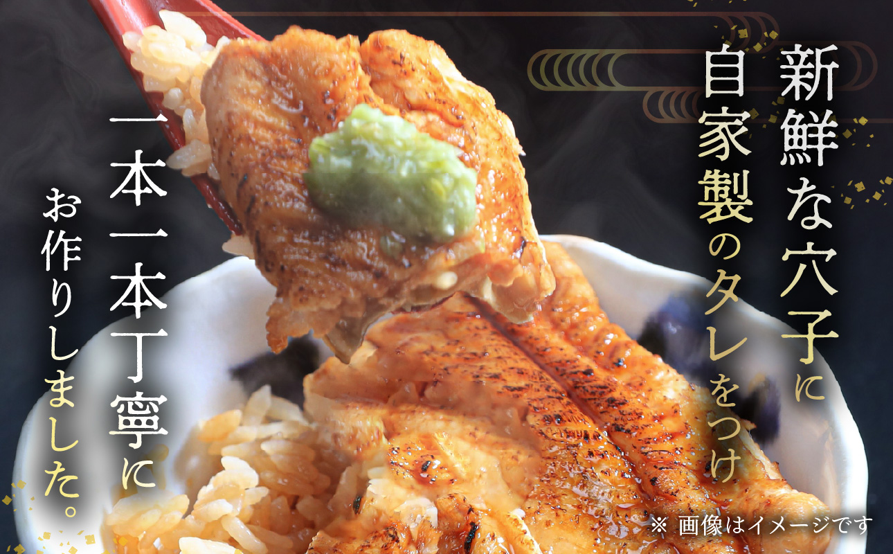 焼穴子　約500g（国産・大きいサイズ約6本）