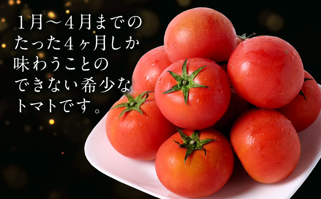 【先行予約】 Red i ～紅～ 1kg トマト とまと 野菜 やさい 旬の野菜 新鮮な野菜 地元産野菜 ご当地 国産 特産品 お取り寄せ 家庭用 食卓 【2026年1月中旬より順次発送】
