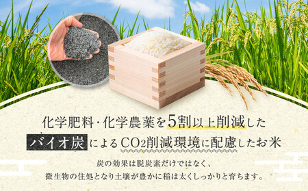 【令和7年産】つや姫 5kg×1 CO2削減 環境配慮米｜7年産米 つや姫 ブランド米 銘柄米 SDG’s 宮城県角田市産 米 コメ 白米 精米