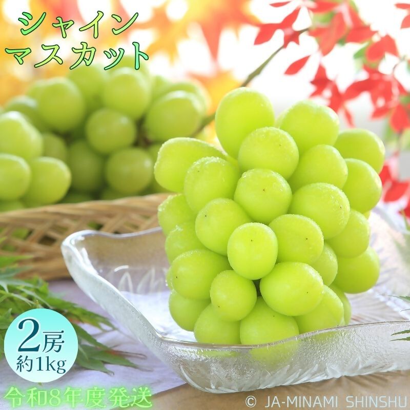 【ふるさと納税】【令和8年度発送先行予約品】8-J29 シャインマスカット 秀品 約1kg(2房) ブドウ ぶどう シャインマスカット 秀品 2房 約1kg