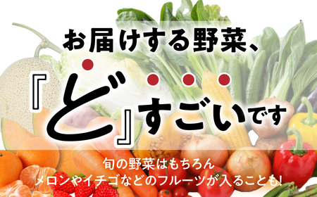 【6ヶ月定期便】 旬の野菜 フルーツ 詰め合わせ ～ 12品 野菜ソムリエ 厳選 野菜セット | メロン いちご トマト アスパラガス トウモロコシ 玉ねぎ 国産 人気 ランキング やさい 野菜 果物