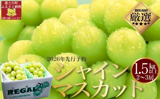 【2026年発送分 先行予約】頬張る幸福感　～緑の宝石・シャインマスカット～　１．５ｋｇ以上（２～３房） フルーツ 山梨県産 果物 シャイン マスカット ぶどう ブドウ 大粒 種なし 種無し 先行予約 富士川町
