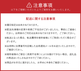 前沢牛らーめん10食入 濃厚醤油スープ [W0009]