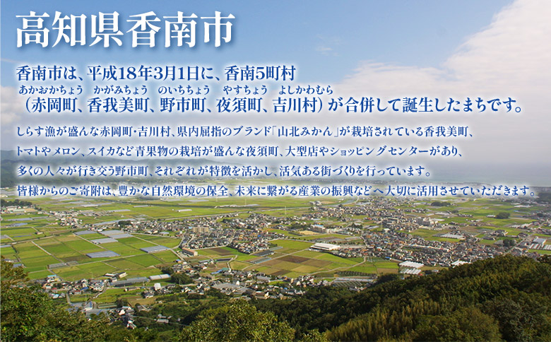 寄附のみの応援受付(返礼品はございません) 高知県 香南市 返礼品なし 寄付 ky-05