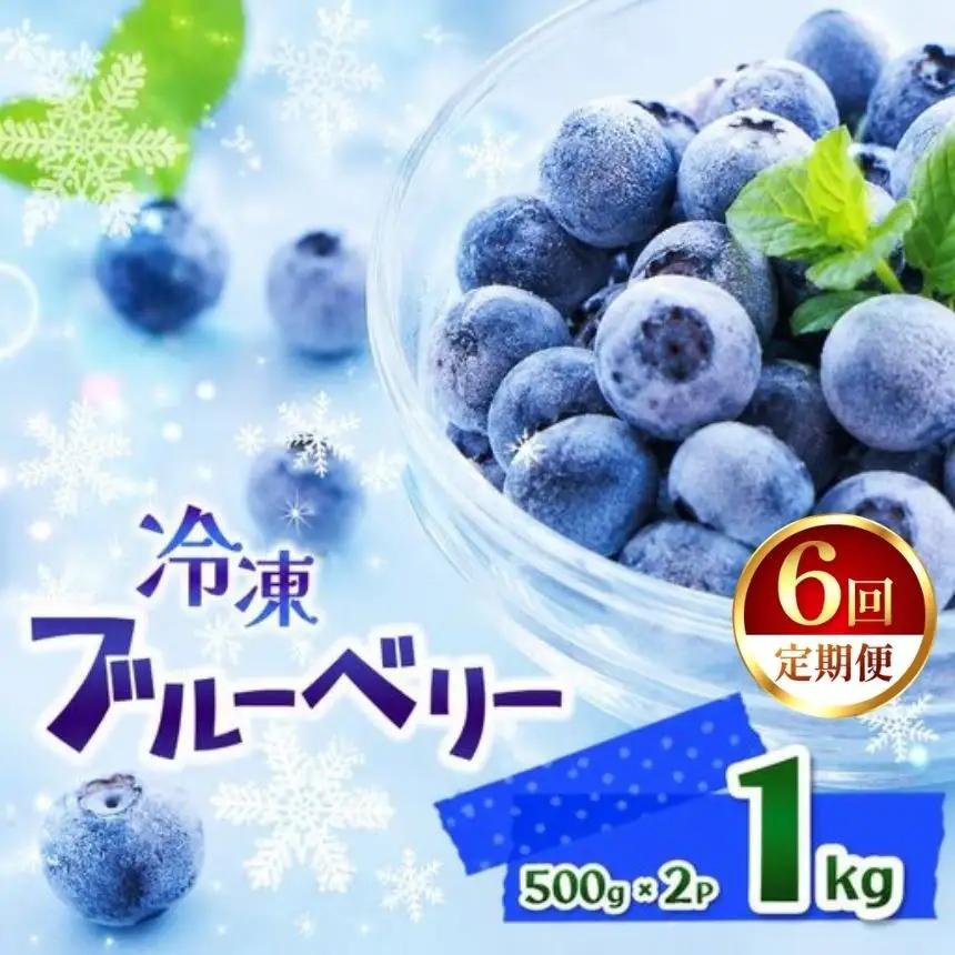 【定期6回】完熟 冷凍ブルーベリー 約 1kg