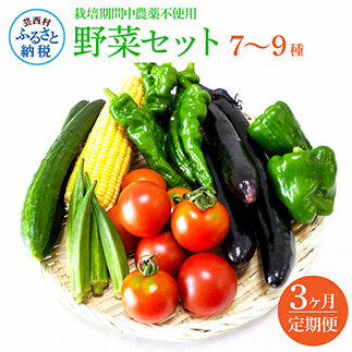 野菜セット（7‐9種類） 《3カ月定期便》 栽培期間中農薬不使用！ 季節の野菜 定期コース 定期 無農薬 野菜 やさい 新鮮 自然 健康 セット 詰め合わせ 冷蔵 美味しい おいしい 食べ物 食材 秋 旬の味覚 ご当地 お取り寄せ 芸西村 18000円 故郷納税 返礼品