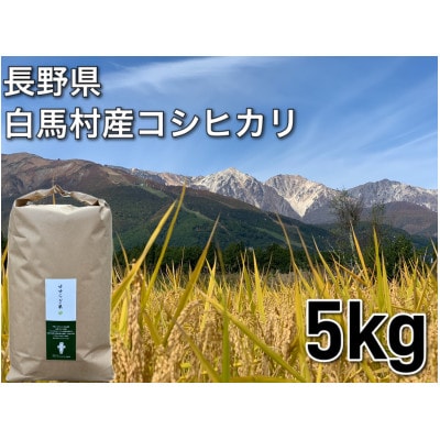 白馬産コシヒカリ 白米 5kg【1484002】