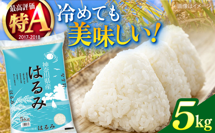 【数量限定】お米　はるみ　5kg【株式会社ヨコショク】 [AKGC001]