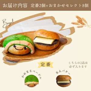 【4回定期便】ベーグル 天然酵母 無添加 京都亀岡 かめまるベーグル10個セット ×4回＜ベーグルショップCocoroPan＞天然白神こだま酵母使用《もちもち しっとり 国産小麦 個包装 3ヶ月に1回