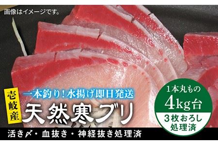 壱岐島産 天然寒ブリ（4キロ台・3枚おろし） 《壱岐市》【壱岐島　玄海屋】[JBS010] ぶり 寒ぶり ブリ 魚 刺身 しゃぶしゃぶ ぶりしゃぶ 天然 処理済 4kg 3枚おろし 47000 47000円 冷蔵配送 九州