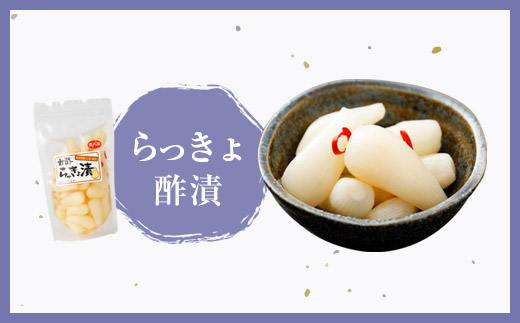 永尾商店 漬物 詰め合せ Dセット 各1袋 計4袋 計約860g 上高菜 （160g） 人吉割干漬 （250g） らっきょ酢漬 （200g） 人吉の焼酎梅 （250g） セット 熊本県 相良村