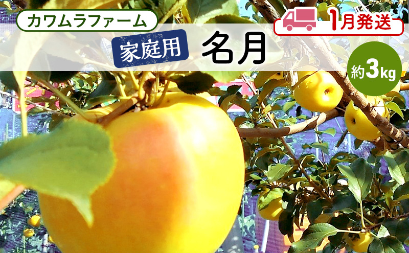 
りんご 【1月発送】カワムラファーム 家庭用 名月 約3kg 【弘前市産 青森りんご】 青森 弘前
