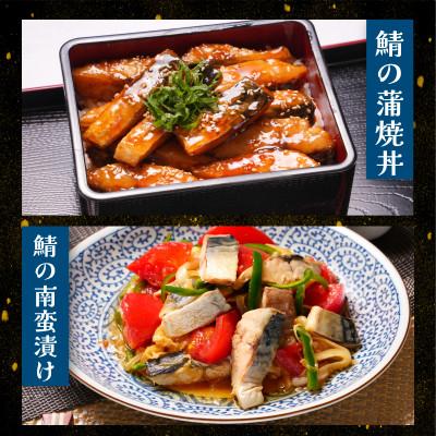 ふるさと納税 銚子市 適塩さば 昆布エキス入り 10枚 |  | 02