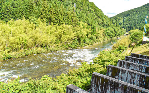 下呂温泉【道の駅 飛騨金山ぬく森の里温泉】宿泊補助券（3,000円分） 宿泊券 温泉 旅行 宿泊 金山下呂市