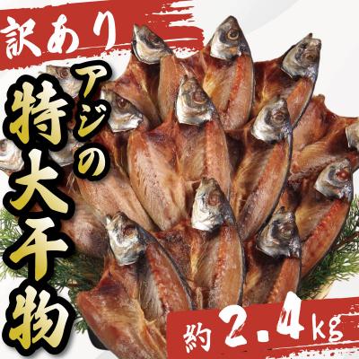 ふるさと納税 小松島市 訳あり 特大 アジ 干物 約2.4kg 計14枚