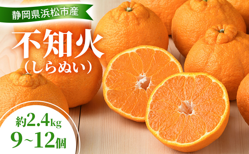 【2027年3月以降発送】 不知火 約2.4kg 9～12個 しらぬい デコ かんきつ 柑橘 みかん ミカン 蜜柑 フルーツ 静岡 浜松市