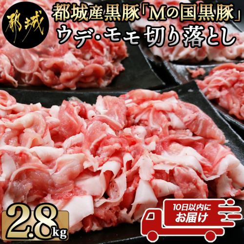 都城産黒豚「Mの国黒豚」切り落とし2.8kg≪みやこんじょ特急便≫_MJ-0108-Q