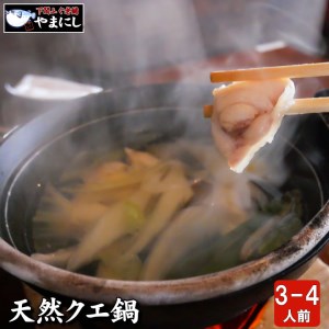 【山口県下関産】天然クエ鍋セット 3-4人前(450g) AU クエクエクエ