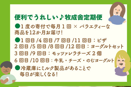 【全12回お届け】牧成舎の乳製品定期便｜ピザ・ヨーグルト・チーズ・牛乳を毎月楽しむ 定期便 DF235