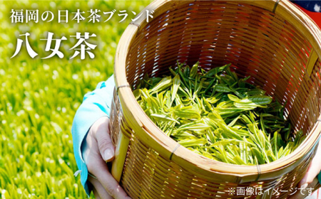 福岡県産八女煎茶とティーバッグ（上煎茶・ほうじ茶）詰合せ＜お茶の星陽園＞那珂川市  14000 14000円 [GAD015]