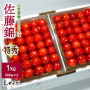 【ふるさと納税】さくらんぼ 佐藤錦 1kg 特秀品 Lサイズ （ 500g × 2パック ） 手詰め 化粧箱入り フルーツ 果物 贈答用 ギフト プレゼント お取り寄せグルメ 東北 山形県 上山市 0106-2502