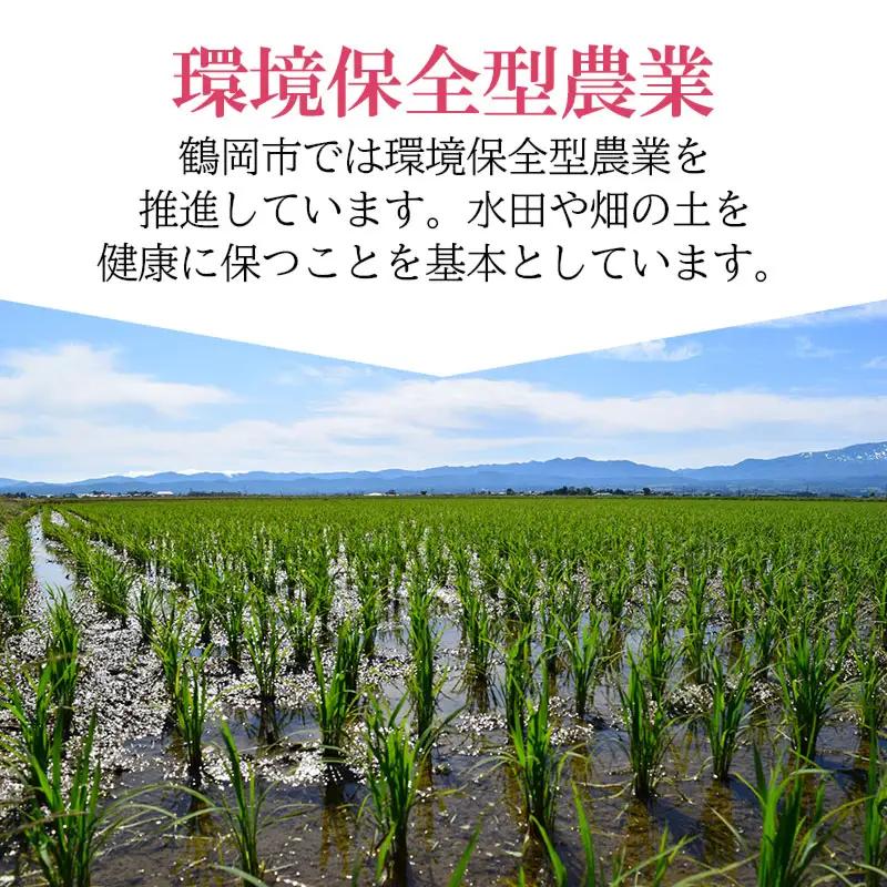 【令和7年産】 特別栽培米ひとめぼれ 乾式無洗米 10kg（5kg×2袋）山形県鶴岡市産　有限会社コープスター会　| 米 こめ コメ 10キロ ブランド米 庄内米 ごはん ご飯 美味しい 国産 おすす
