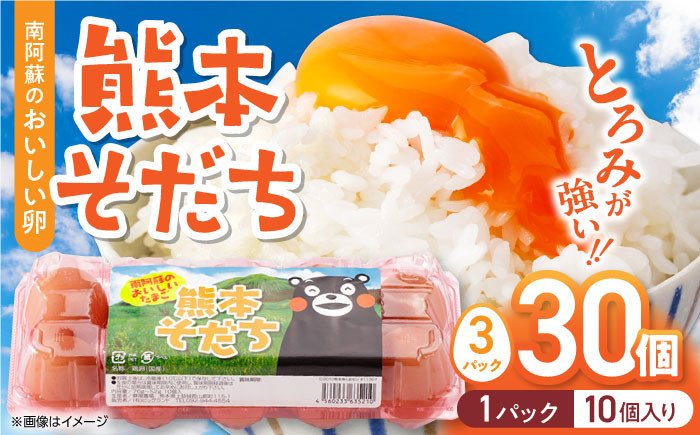 熊本そだち 30個入り ( 10個入り × 3パック ) 熊本県産 山都町 たまご 卵