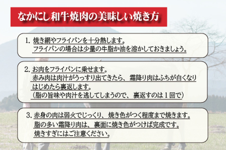 【生産者直送】なかにし和牛霜降り焼肉-特上-（産地直送 小林市産 国産 牛肉 和牛 霜降り 焼肉 送料無料） 焼肉 和牛焼肉 牛肉焼肉 西ノ原牧場