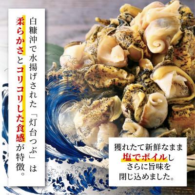 ふるさと納税 白糠町 白糠煮つぶ(とれたてくん) 1kg(500g×2) 小分けパック つぶ貝 |  | 01