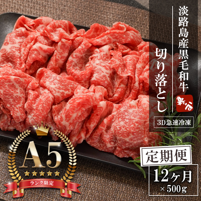 【定期便12ヶ月】A5ランク 淡路島産黒毛和牛 切り落とし 500g 切り落し