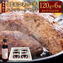 【ふるさと納税】くまモン あか牛ハンバーグセット ハンバーグ 約120g×6個 あか牛のたれ付き 約200ml あか牛 あかうし 和牛 牛肉 お肉 肉 くまモンパッケージ セット タレ 洋食 国産 九州 熊本県 水俣市 送料無料