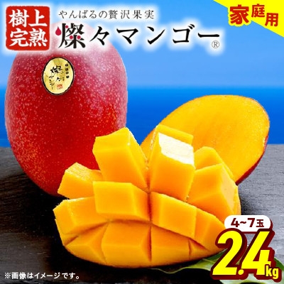 
                  【2027年7月から順次発送・家庭用】燦々マンゴー2.4kg(4～7玉)_アップルマンゴー アーウィンマンゴー 沖縄 家庭用 規格外 贈答用 ギフト 果物 完熟 南国 フルーツ 期間限定 数量限定 沖縄県産 農家直送【1619692】
                