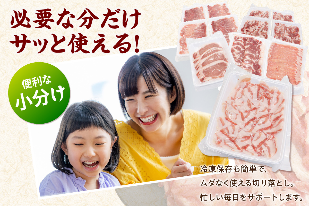 知多ポークバラエティーセット 便利な小分け 知多ポーク 自社ブランド 豚肉 焼き肉 焼きそば 炒め物 とんかつ しゃぶしゃぶ 焼肉 豚バラ 豚ロース 豚肩ロース 豚モモ うす切り 豚小間切れ とんとこ