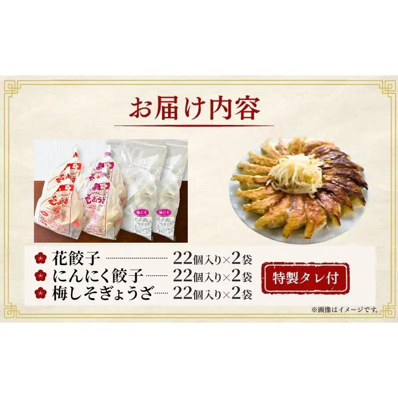 「花ぎょうざ」3種食べ比べセット 132個（各22個×2袋×3種）6か月連続お届け 餃子 冷凍餃子 冷凍ギョーザ 手作り餃子 ギョーザ セット 食べ比べ 点心 中華 中華料理 惣菜 簡単調理 加工食品