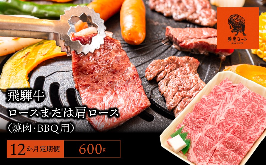AJ-18-z 【12か月定期便】【飛騨牛】ロースまたは肩ロース600g (焼肉・BBQ用)