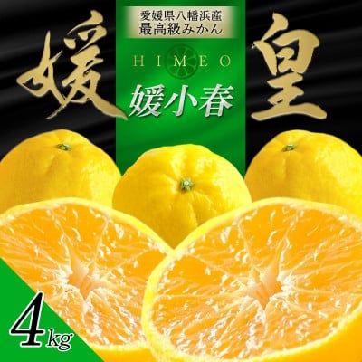 
                  最高級みかん 媛皇 媛小春 4kg 愛媛県 八幡浜市 希少な幻の柑橘 黄色＜H25-321＞【1714065】
                