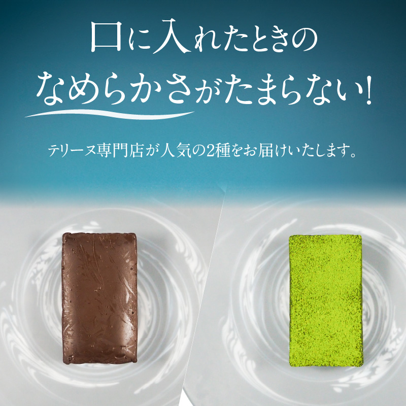 【テリーヌ専門店L】（約２００g）濃厚抹茶・濃厚チョコレート2種のテリーヌセット【グルテンフリー・保存料不使用】抹茶 スイーツ 西尾抹茶 H173-010