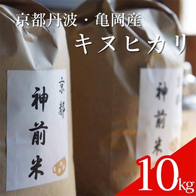 ふるさと納税 亀岡市 【令和7年産】先行予約 京都・神前米 キヌヒカリ 10kg※2025年9月下旬以降順次発送