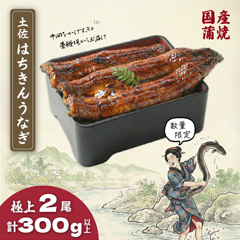 【ふるさと納税】 数量限定 国産 鰻 土佐はちきん うなぎ 蒲焼き 150g以上×2尾 | 蒲焼 無投薬 上 特上 肉厚 鰻 ウナギ かば焼き きざみ ひつまぶし 柔らかい ふっくら 極太 極上 生産者直送 限定 こだわり ギフト 冷凍 高知県 南国市