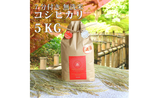 ななひかり米 5㎏ 【 無洗米 】 米 こしひかり コシヒカリ こめ コメ ご飯 ごはん 茨城県 八千代町 20000円 [AR002ya]