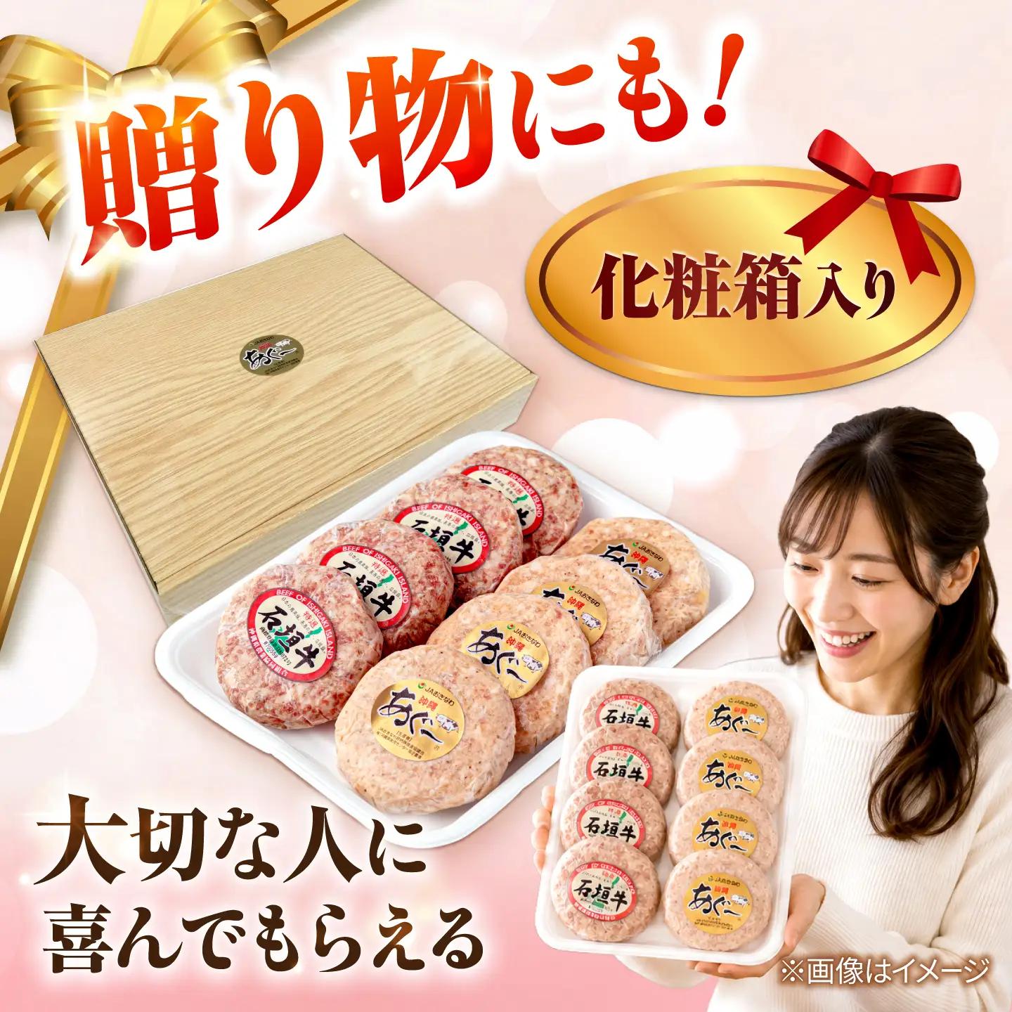あぐー豚・石垣牛ハンバーグ セット 計800g 石垣牛 ハンバーグ BCAZ003