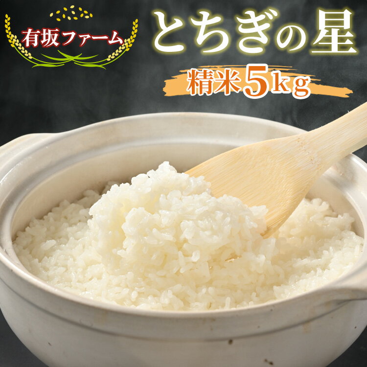 【ふるさと納税】有坂ファームの令和6年産とちぎの星 精米5kg