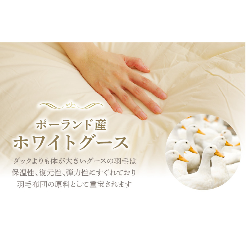 羽毛布団 2枚 ポーランド産グース贅沢仕様 シングル 150cm×210cm アイボリー【国産 羽毛 ふとん 寝具 掛け布団 羽毛ふとん】 099H3101_イメージ2