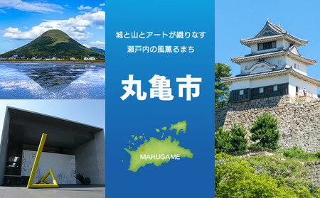 さぬき米菓 ほのか 8個 サブレ 最中